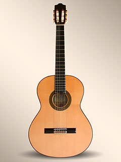 Guitar Alhambra 5F